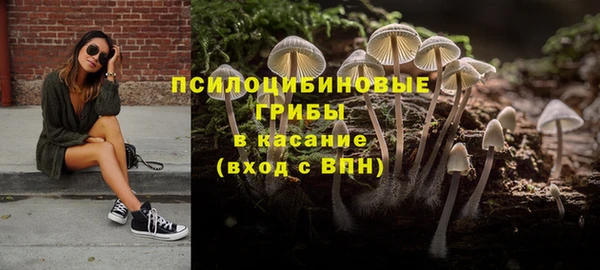 мескалин Пестово