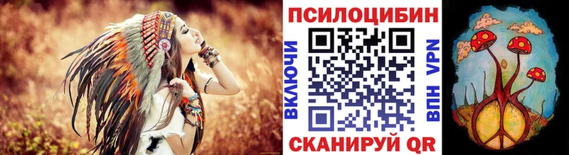 цены наркотик  Каменск-Шахтинский  Псилоцибиновые грибы GOLDEN TEACHER 